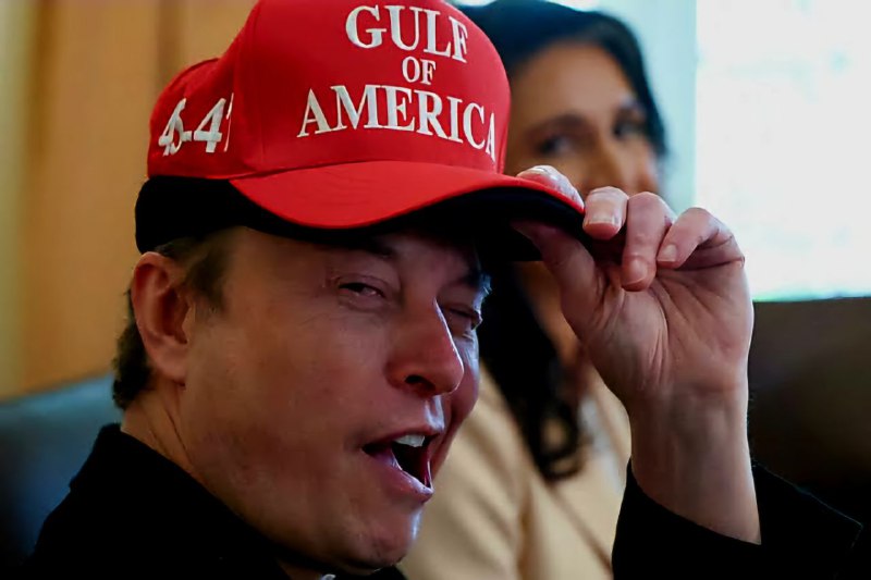 Elon musk new America Party